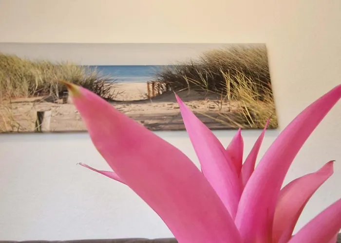 Apartamento Haus-utlande-whg-17